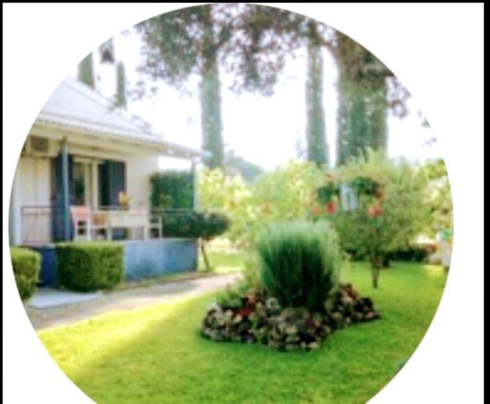 הוילה Kynopiástai Eirini'S House Corfu מראה חיצוני תמונה